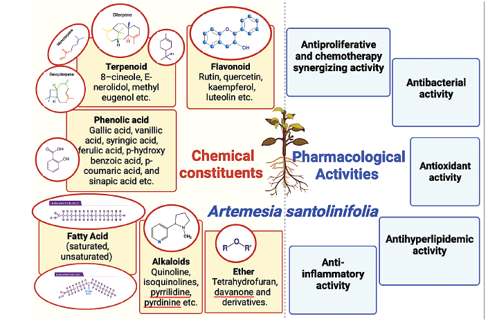 Click here to view Large image 1