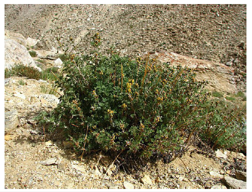 Click here to view Large image 2