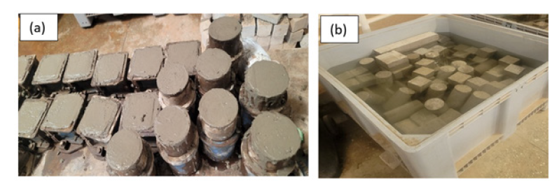 Click here to view Large images 2