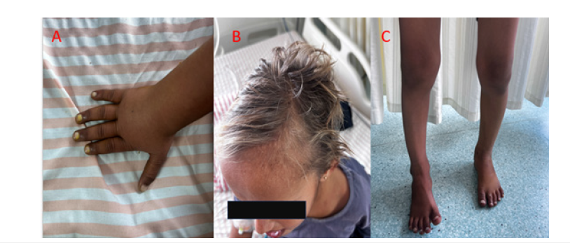 Click here to view Large figure 1