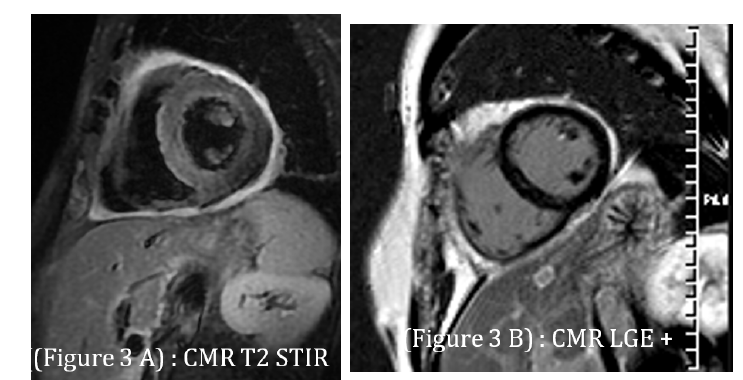 Click here to view Large images 3