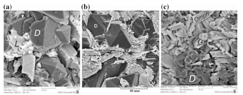 Click here to view Large Figure 1