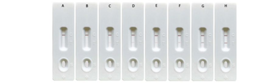 Click here to view Large image 3