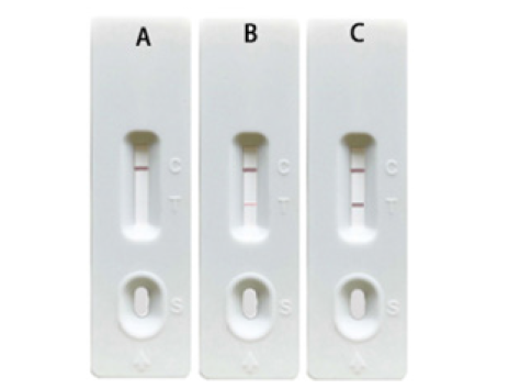 Click here to view Large image 7