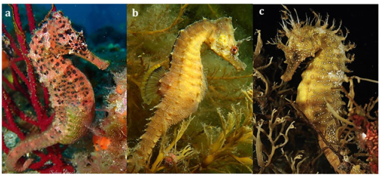 Click here to view Large figure 1