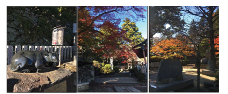 Click here to view Large images 1