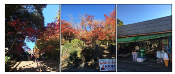 Click here to view Large images 2