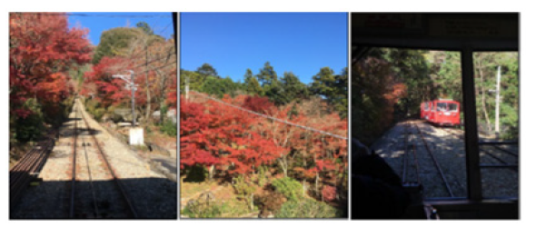 Click here to view Large images 4