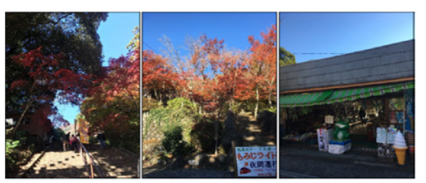 Click here to view Large images 6