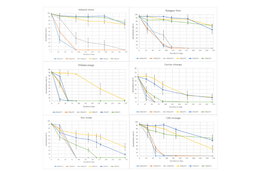 Click here to view Large image 2