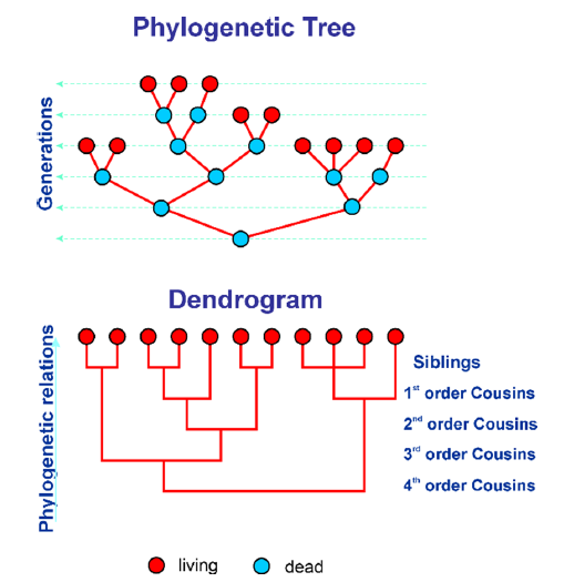 Click here to view Large image 1