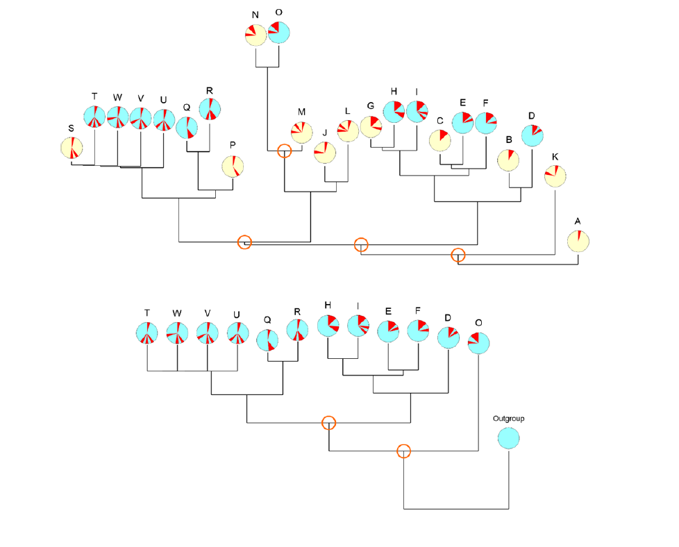 Click here to view Large image 5