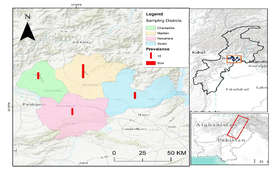 Click here to view Large image 1