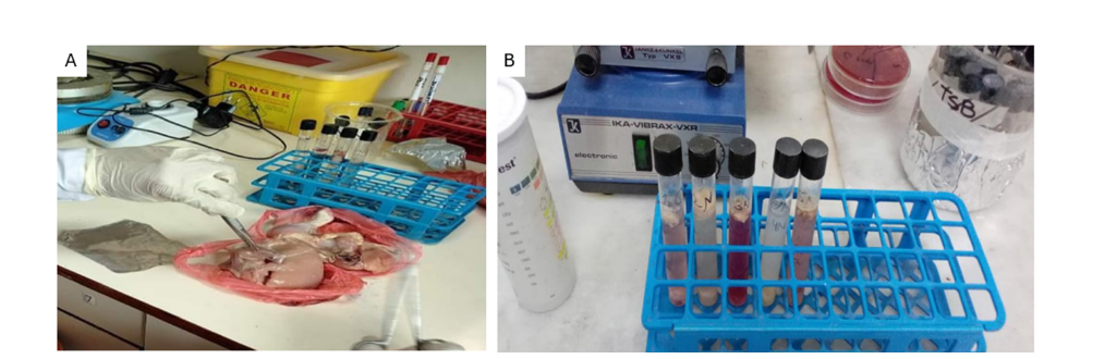 Click here to view Large image 2