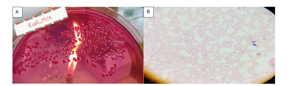 Click here to view Large image 3