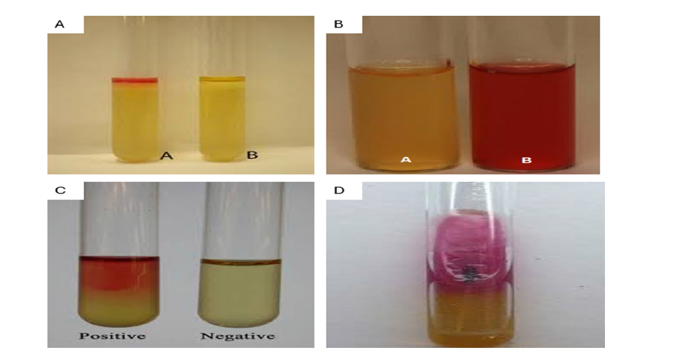 Click here to view Large image 4