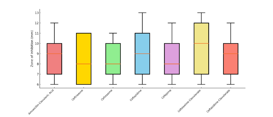 Click here to view Large image 5