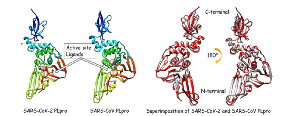 Click here to view Large image 2