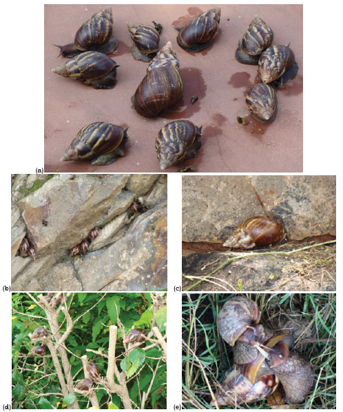 Click here to view Large image 1