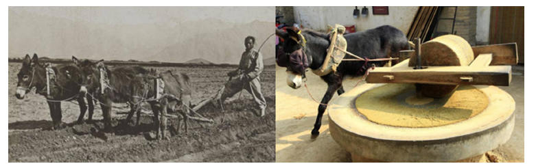 Click here to view Large images 1