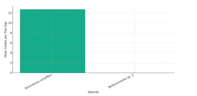 Click here to view Large image 4