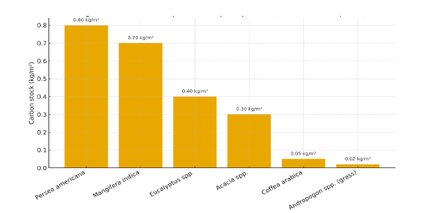 Click here to view Large image 6