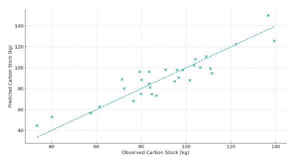 Click here to view Large image 7