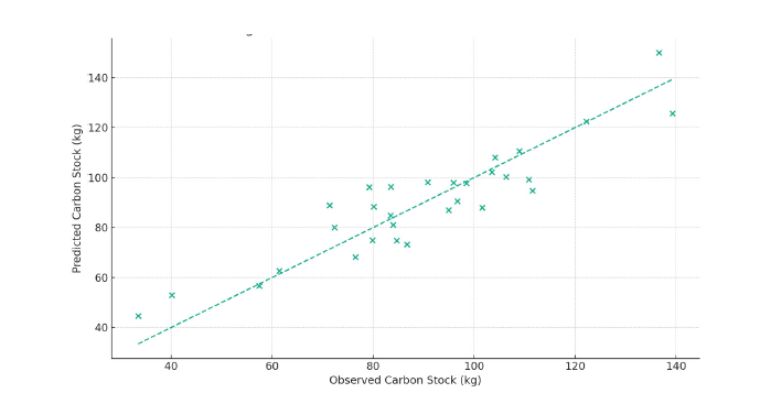 Click here to view Large image 8