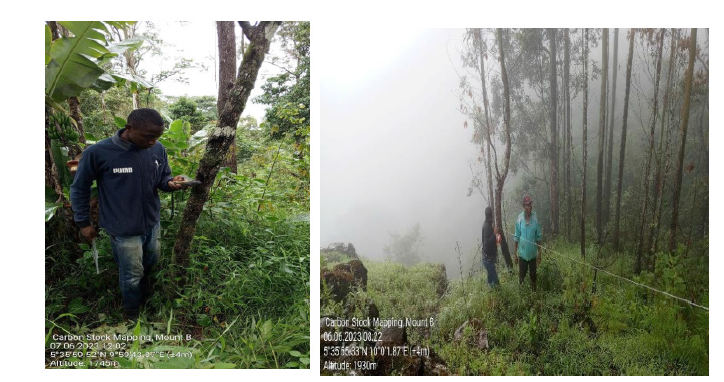 Click here to view Large image 1