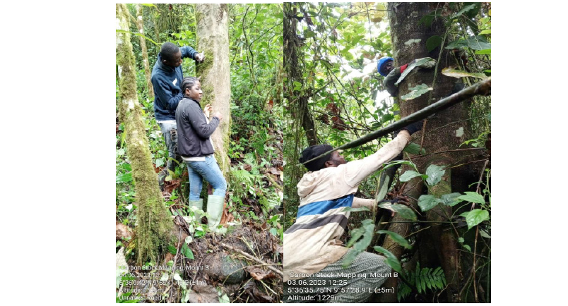 Click here to view Large image 2