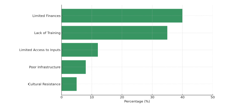 Click here to view Large image 13