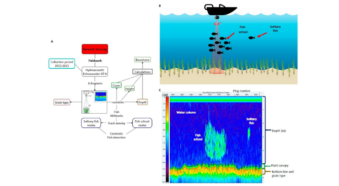 Click here to view Large image 2