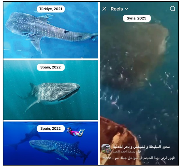 Click here to view Large image 6