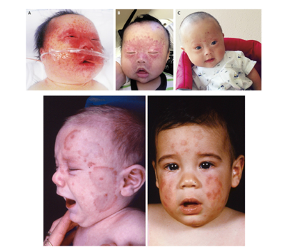 Click here to view Large image 1