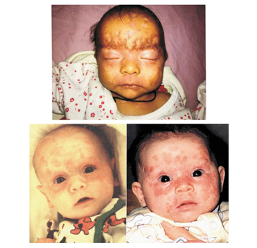 Click here to view Large image 2