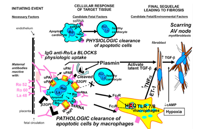 Click here to view Large image 4