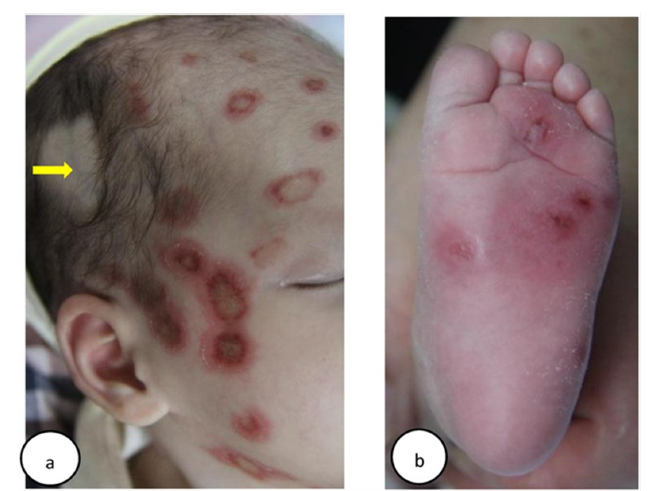 Click here to view Large image 6