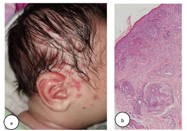 Click here to view Large image 7