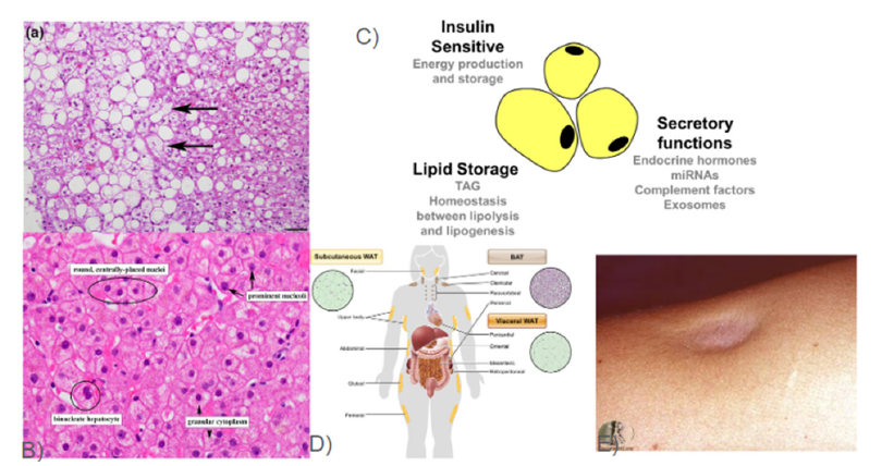 Click here to view Large image 1