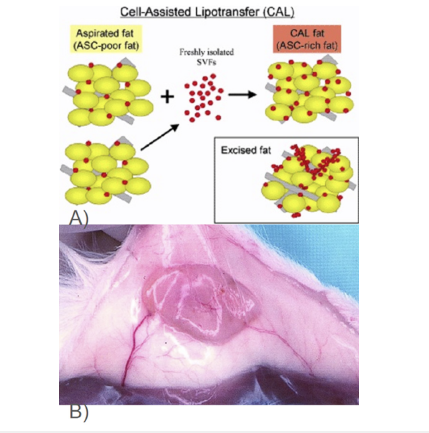 Click here to view Large image 6