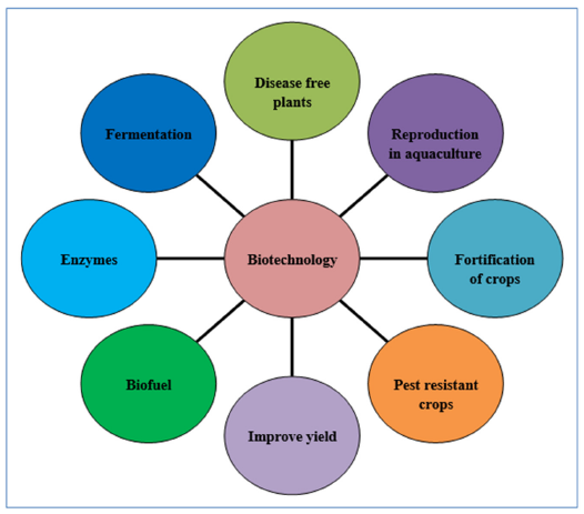 Click here to view Large image 1