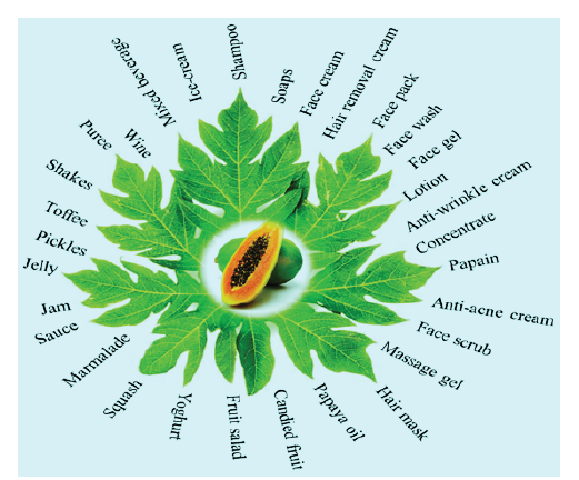 Click here to view Large image 2