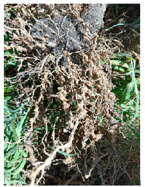 Click here to view Large image 3