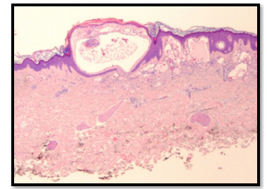 Click here to view Large image 3