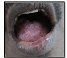 Click here to view Large image 4