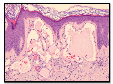 Click here to view Large image 6