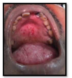 Click here to view Large image 7