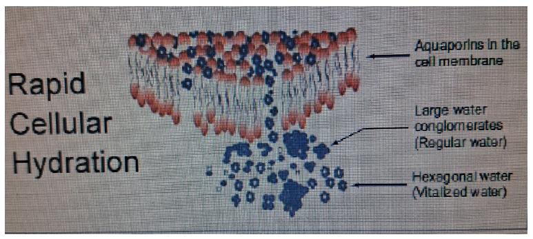 Click here to view Large images 2