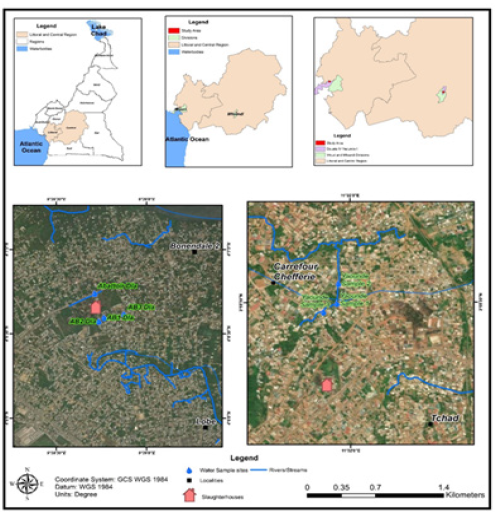 Click here to view Large images 1