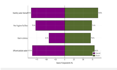 Click here to view Large images 11